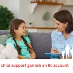 can child support garnish an llc account