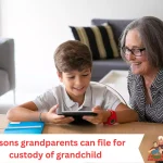 reasons grandparents can file for custody of grandchild