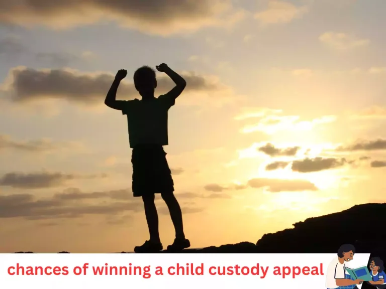 Chances of Winning a Child Custody Appeal: Understanding the Process and Factors