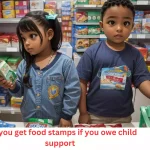 can you get food stamps if you owe child support