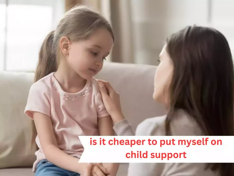 Is It Cheaper to Put Myself on Child Support? Exploring the Financial Considerations