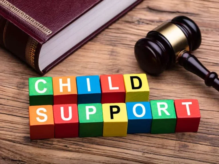 Can Child Support Garnish an LLC Account?